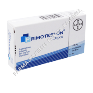 PRIMOTESTON DEPOT 250MG - AMP - 1